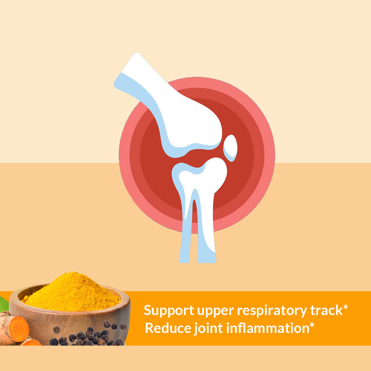 Turmeric & Black Pepper Capsules (Vegetarian, Powder)