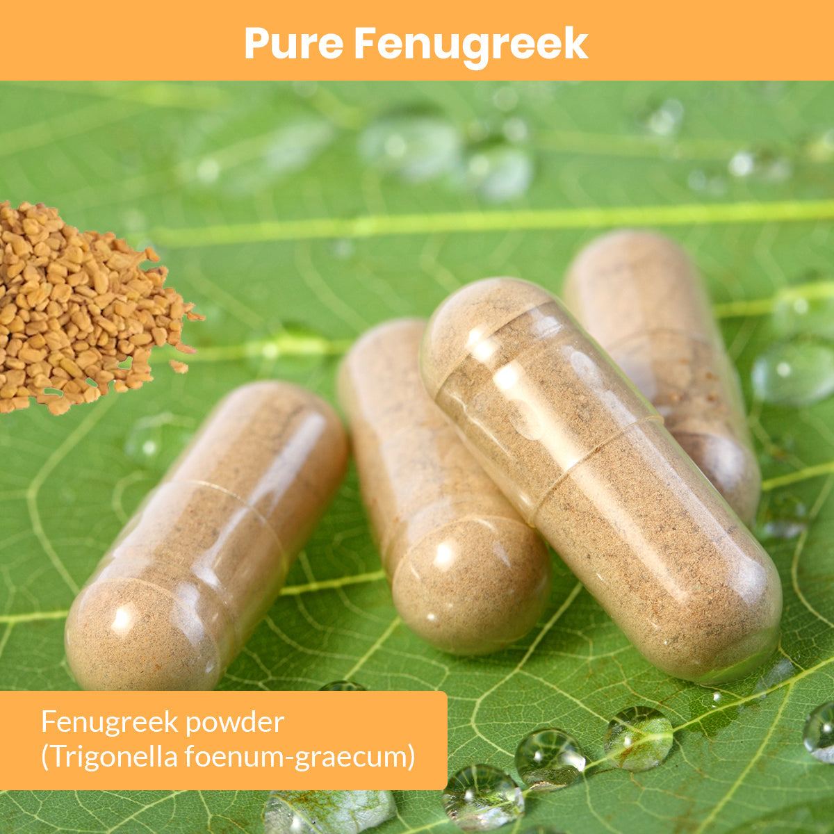 Fenugreek Capsules (Vegetarian, Powder)