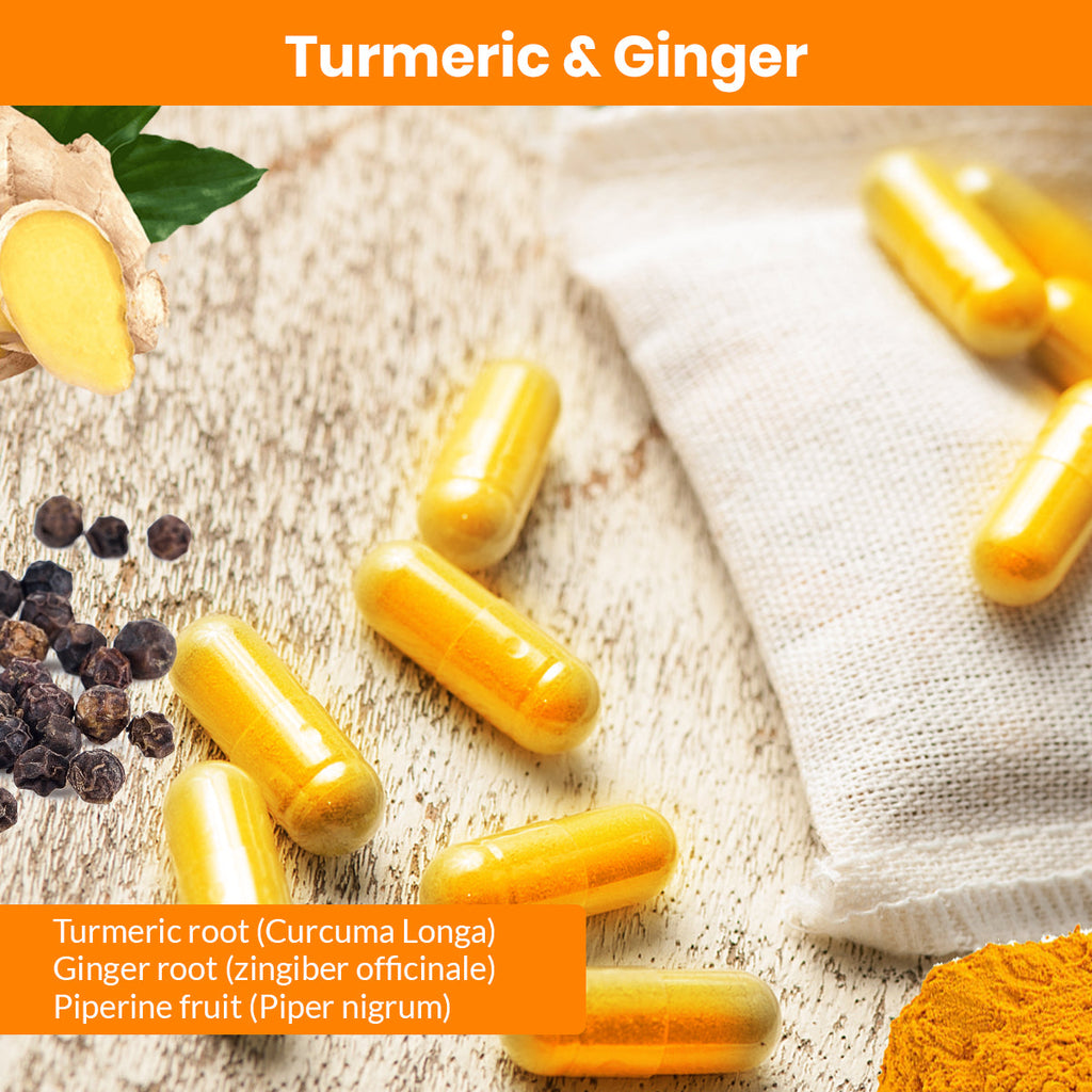 Turmeric & Ginger Capsules (Vegetarian, Powder)