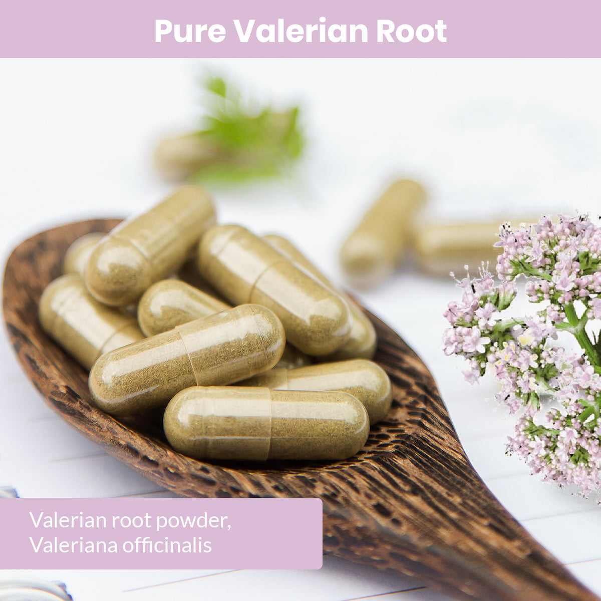 Pure Valerian Root Capsules (Vegetarian, Powder)
