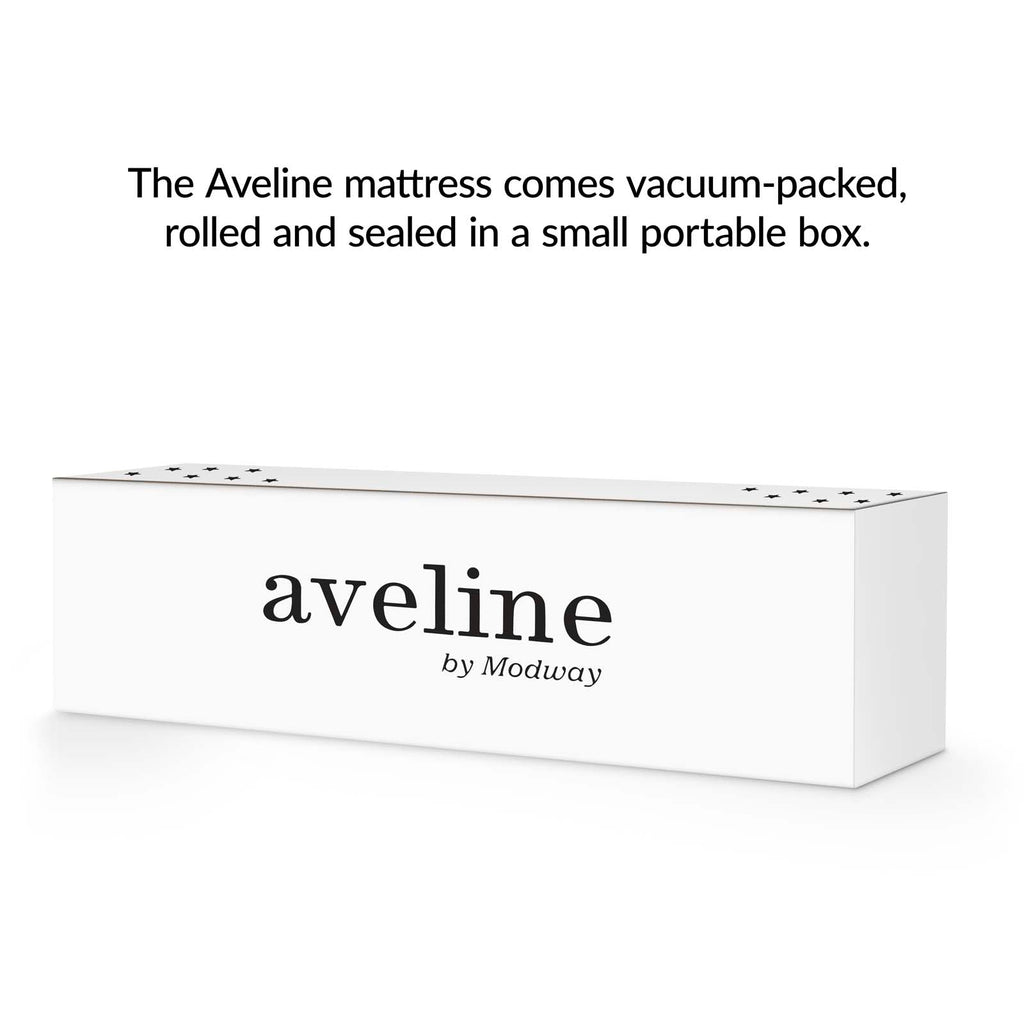 Aveline 6" Queen Mattress by Modway